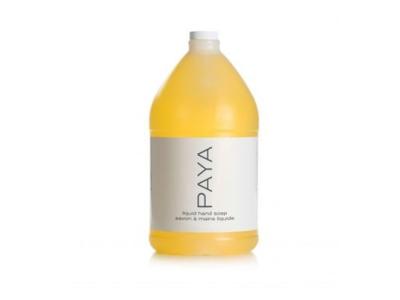 Paya Liquid Hand Soap  