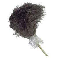 Feather Duster