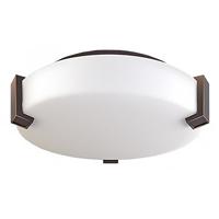 Ceiling Light with Frosted Acrylic and Dark Bronze Finish 16"