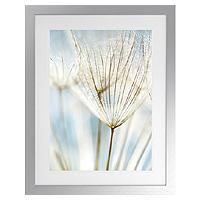 Wisp Photographic Entryway Artwork