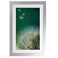 Wisp Photographic Rectangle Artwork