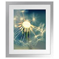 Wisp Photographic Bath Artwork 