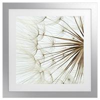 Wisp Photographic Square Artwork