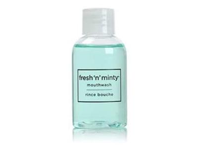 Fresh n Minty Mouthwash