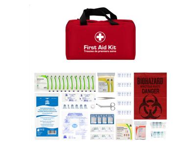Type 2, Small Basic First Aid Kits - Nylon Kit