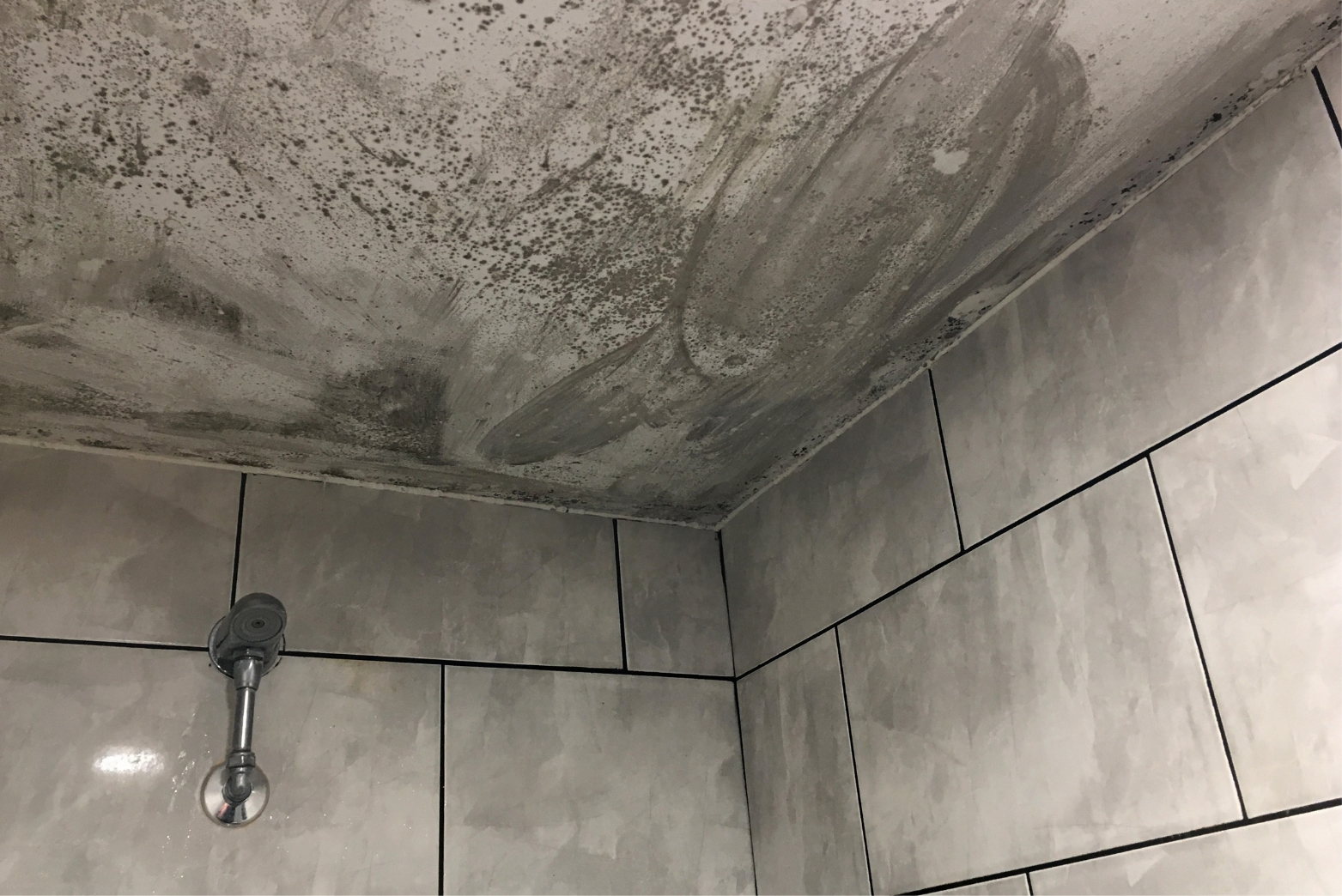 how to clean shower curtains
