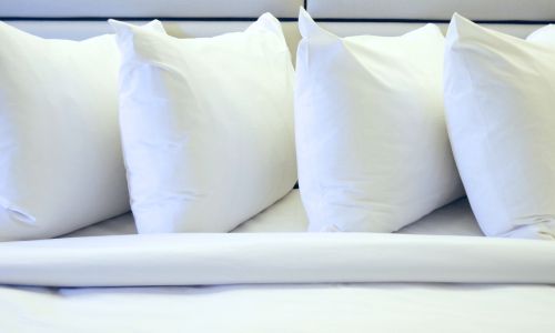 Staph Check Pillows