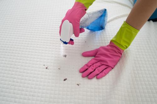 Mattress Protector