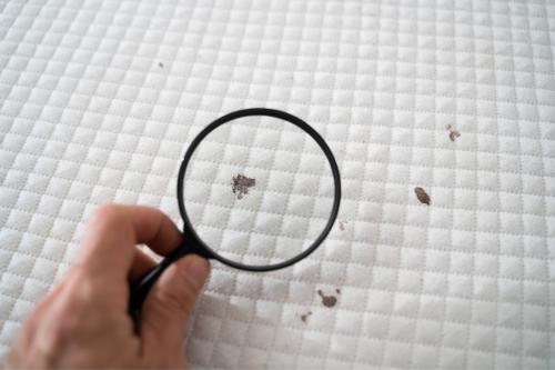 Mattress Protector
