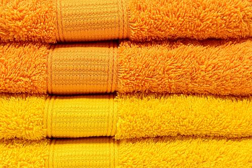 Towel Color in 2026