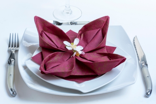 Napkin folding ideas for Valentines Day