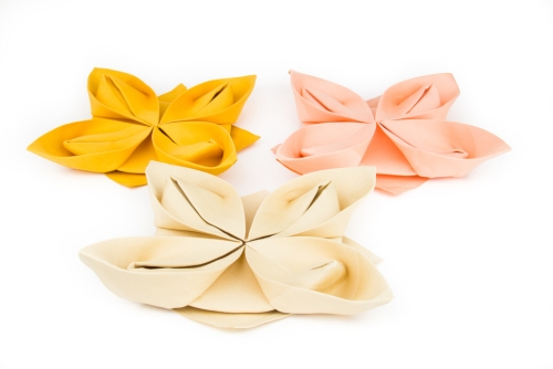 Napkin folding ideas for Valentines Day