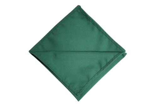 Napkin Folds for Christmas