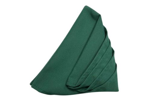 Napkin Folds for Christmas