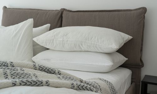 Staph Check Pillows