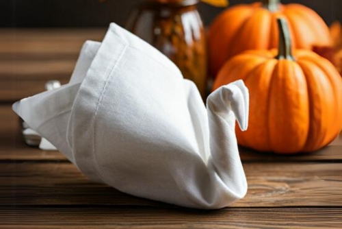 Napkin Folding